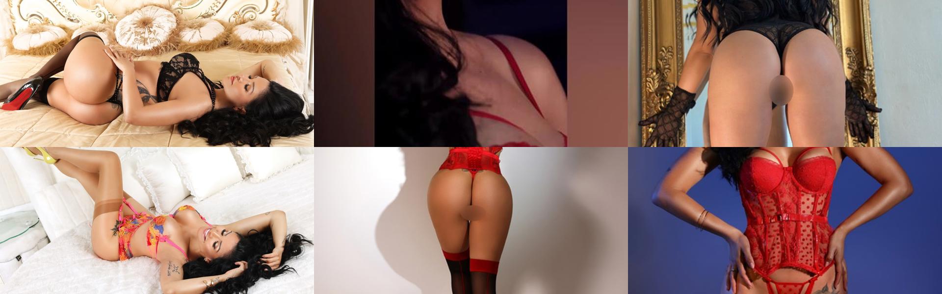 Zaglavna slika profila