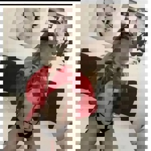 Profil kép
