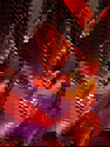 MilenaDTSPEZIALISTIN - +4915510730762, +4915510-730762, 015510-730762