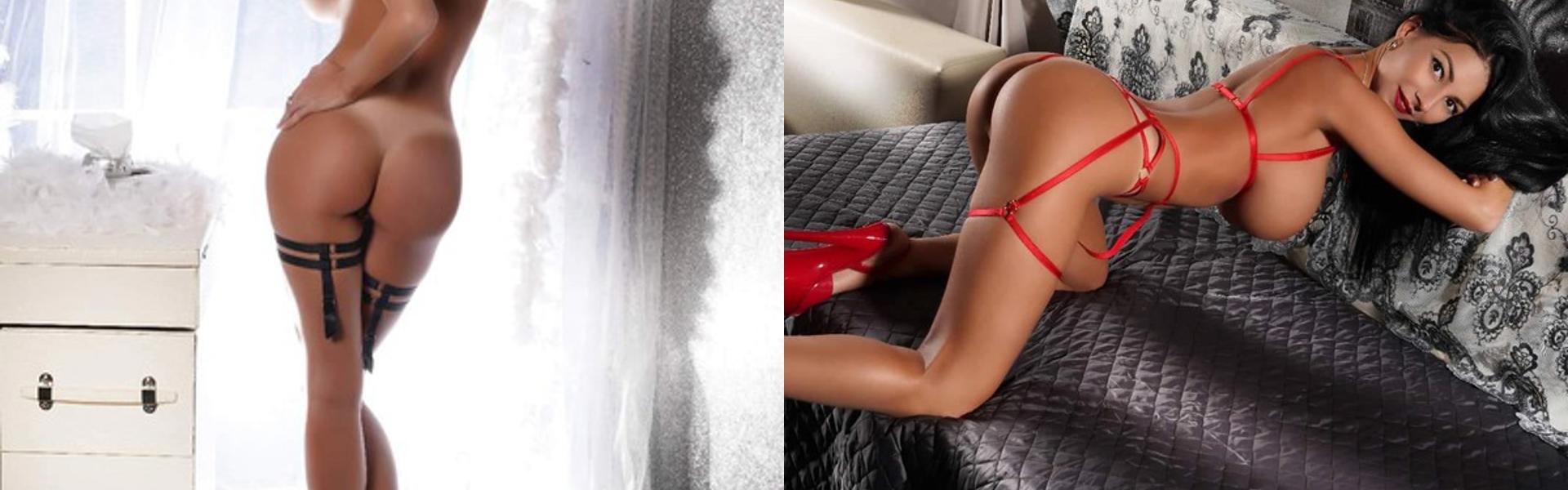 Imagen de encabezado del perfil