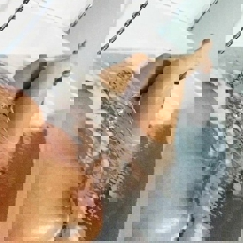 NEUMiaTOPService - +4917617583887, +49176-17583887, 0176-17583887