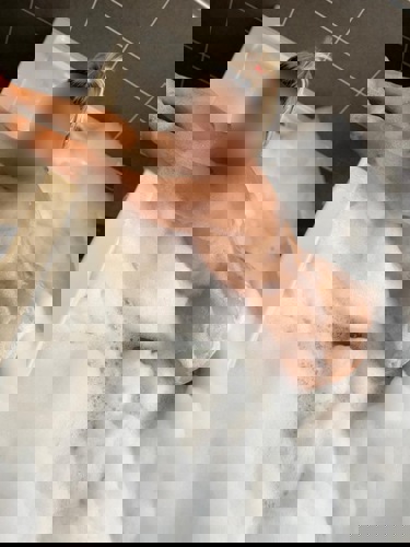 Ariana152145 - +4915214524522, +491521-4524522, 01521-4524522