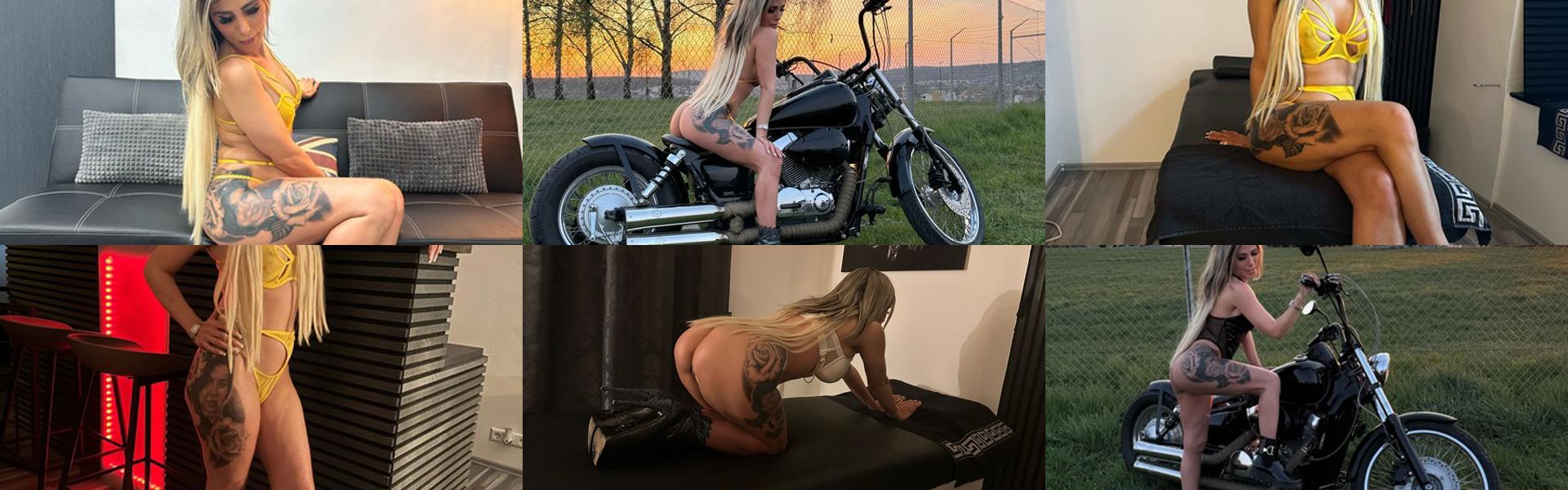 Profil-Headerbild