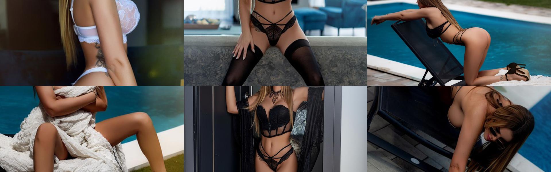 프로필 헤더 이미지