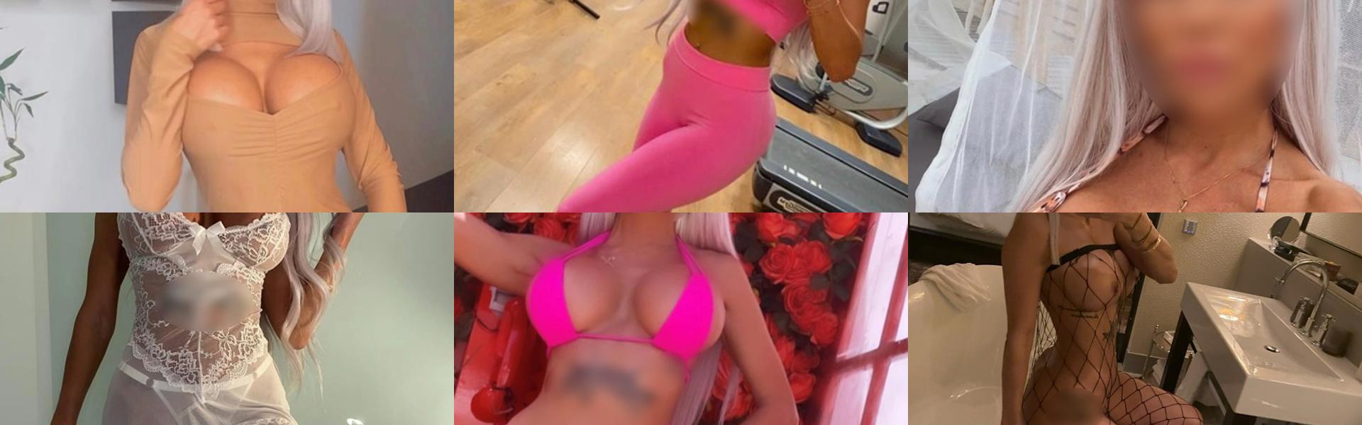 프로필 헤더 이미지