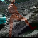 ภาพโปรไฟล์