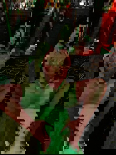 Ainoa - +4949419184437, +494941-9184437, 04941-9184437