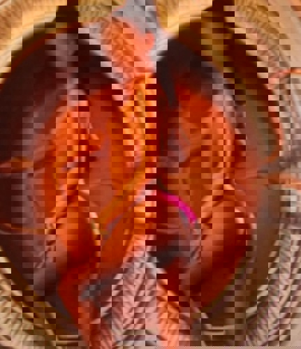 LaraNeu1636 - +491636445829, +49163-6445829, 0163-6445829