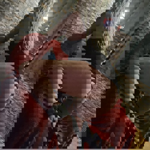 Andreea15124 - +4915124337370, +491512-4337370, 01512-4337370