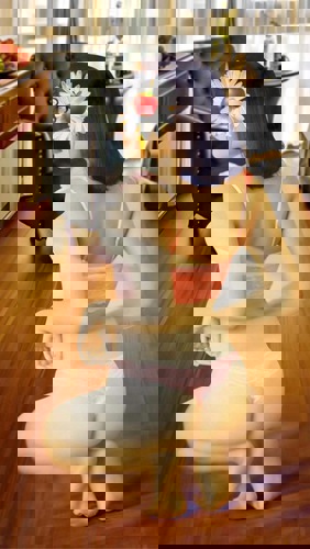 LinhampTrang - +4915781161470, +491578-1161470, 01578-1161470