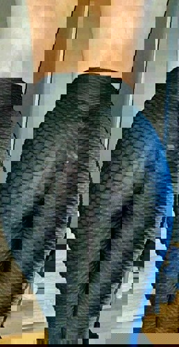 Steffy - +4915510184808, +4915510-184808, 015510-184808