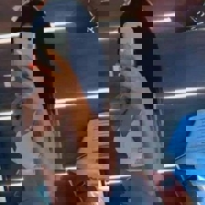 Immagine del profilo