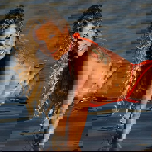 Joyce155 - +4915511541753, +4915511-541753, 015511-541753