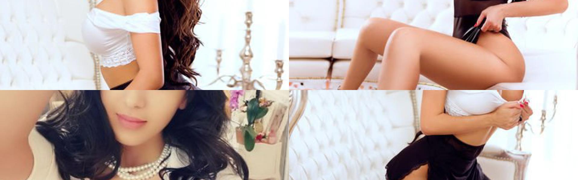 Zaglavna slika profila