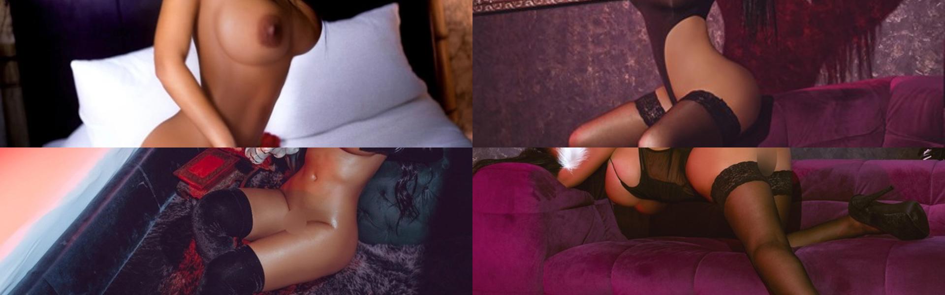 Ảnh tiêu đề hồ sơ