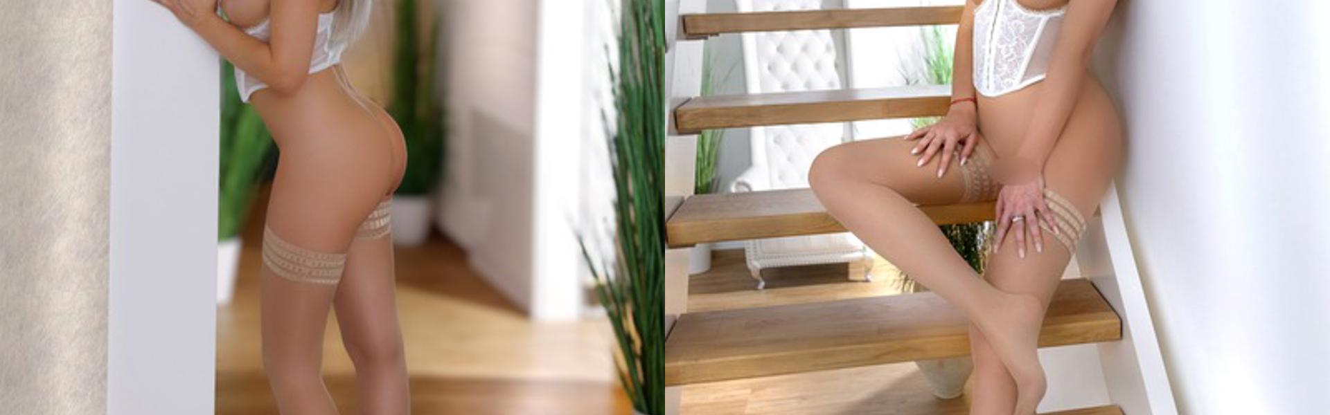 Imagen de encabezado del perfil