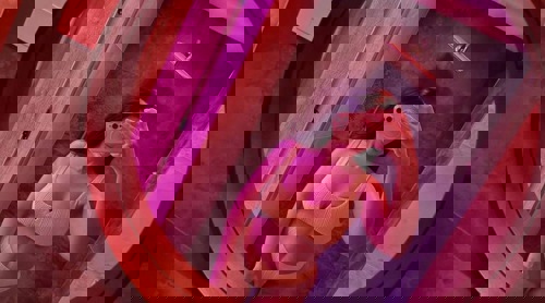 Jenna155 - +4915510535640, +4915510-535640, 015510-535640