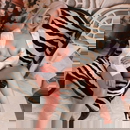 תמונת הפרופיל