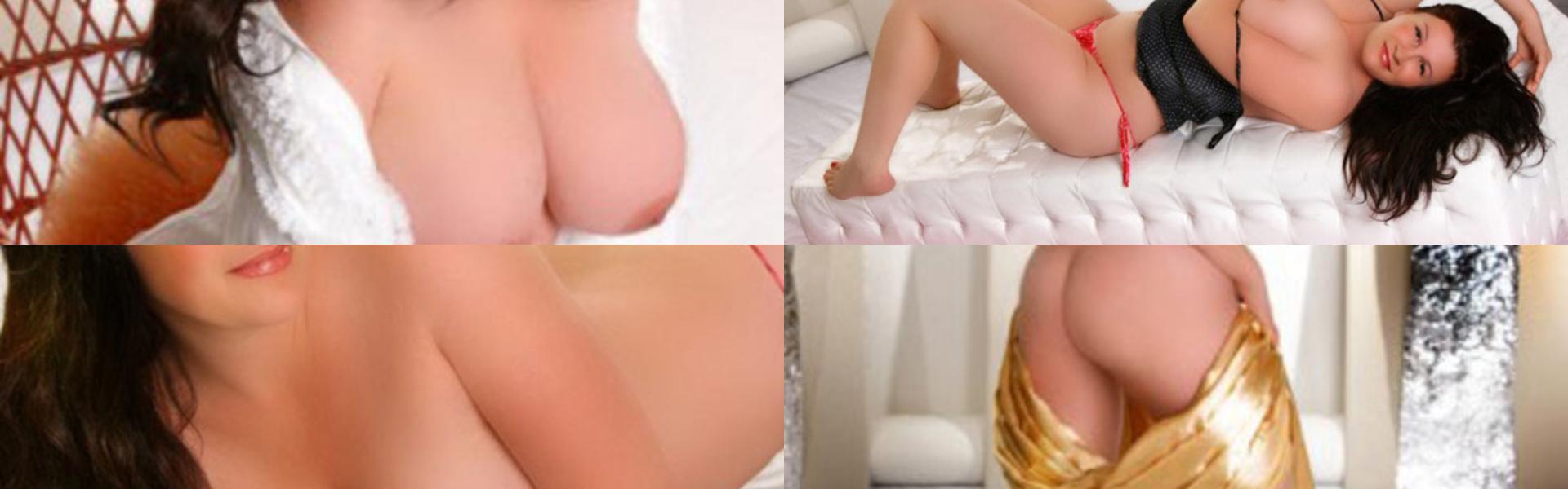 תמונת כותרת הפרופיל