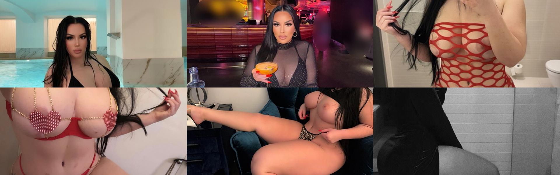 프로필 헤더 이미지