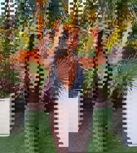 NeuEmilia1521 - +4915214180714, +491521-4180714, 01521-4180714