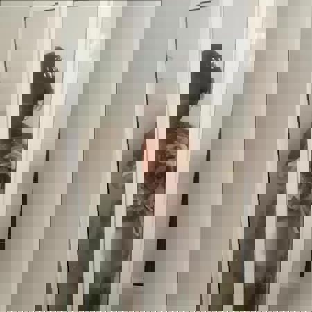 Kenia1 - +491784877438, +49178-4877438, 0178-4877438