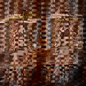 תמונת הפרופיל