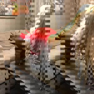 Immagine del profilo