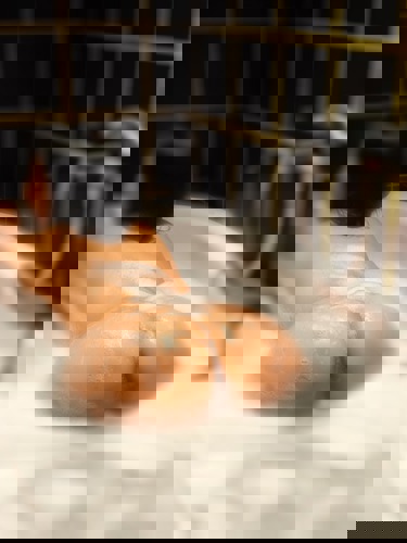 AnhDao - +4915778750863, +491577-8750863, 01577-8750863