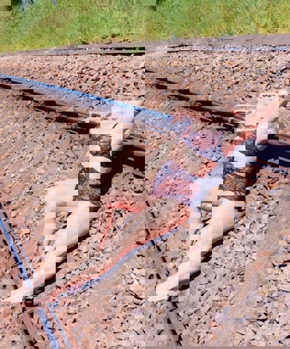 DanaNeu1 - +4915164350196, +491516-4350196, 01516-4350196