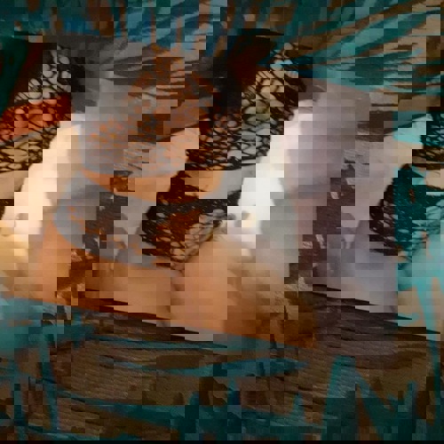 ANSCHIimHaus107 - +491637780742, +49163-7780742, 0163-7780742