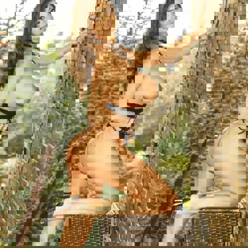 EmilynurbisMI - +4917656637886, +49176-56637886, 0176-56637886