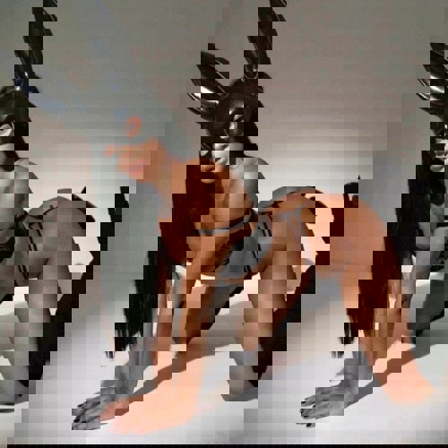 Lara115510790 - +4915510790311, +4915510-790311, 015510-790311