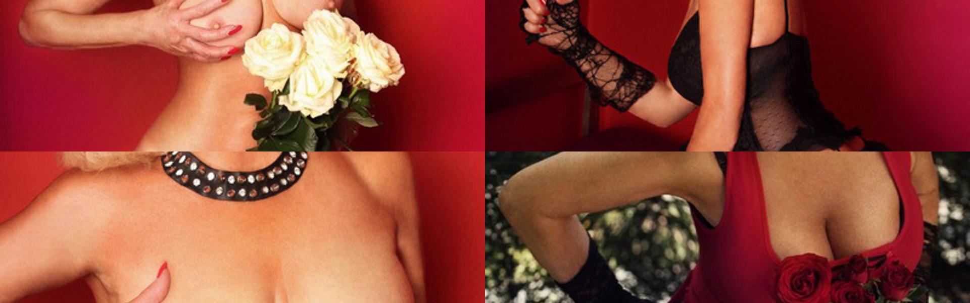 Imagen de encabezado del perfil