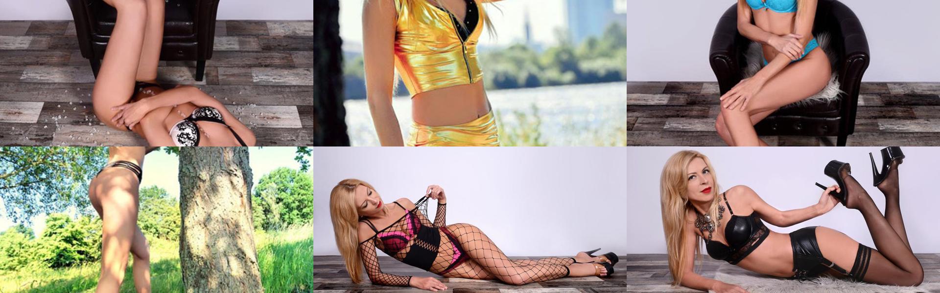 प्रोफ़ाइल हैडर छवि