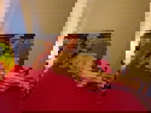 Julia15215 - +4915215311756, +491521-5311756, 01521-5311756