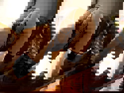 NEUIZA4 - +4948889343810, +494888-9343810, 04888-9343810