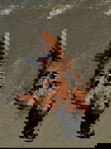 DeutscheAlexis - +491635982344, +49163-5982344, 0163-5982344