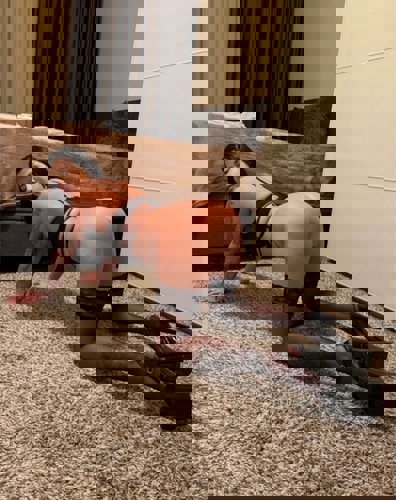 EvelynNeu15215 - +4915215182294, +491521-5182294, 01521-5182294