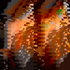 תמונת הפרופיל