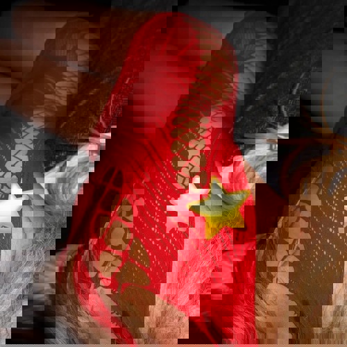 verstrkischeLeyla - +4915757909152, +491575-7909152, 01575-7909152