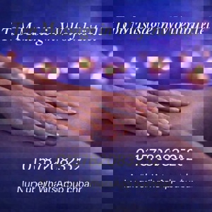 תמונת הפרופיל