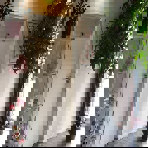 AsiaMassageKontaktnurperWhatsApp