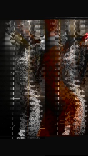 HeieEvaneuinderStadtPartyMaus176 - +4917614980502, +49176-14980502, 0176-14980502