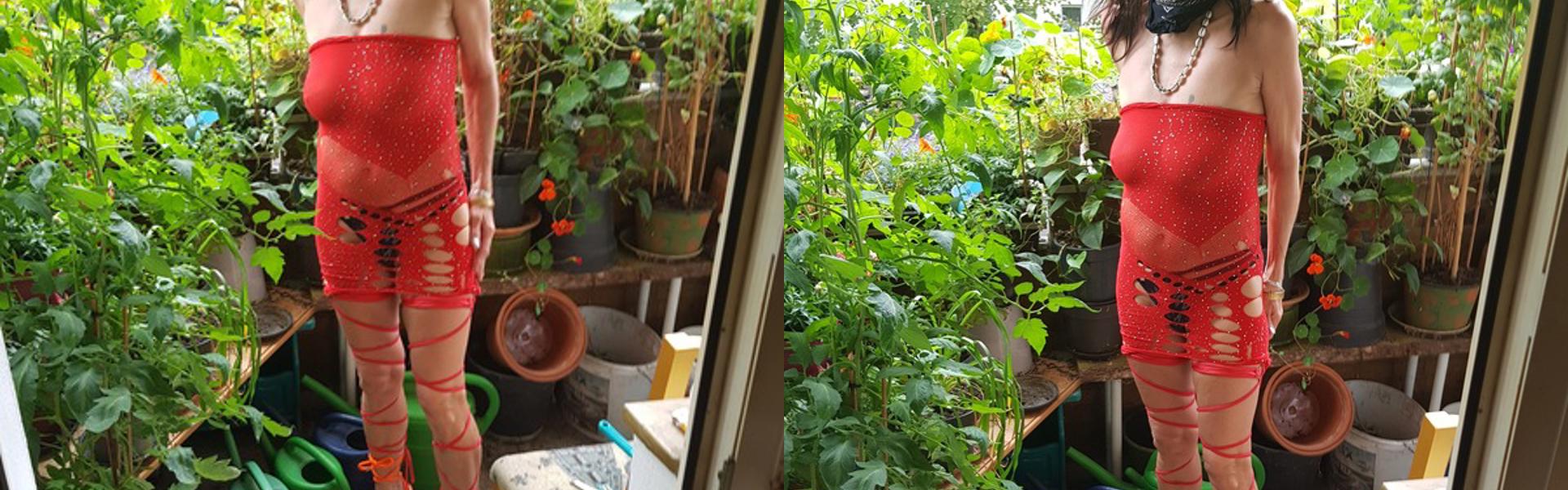 תמונת כותרת הפרופיל