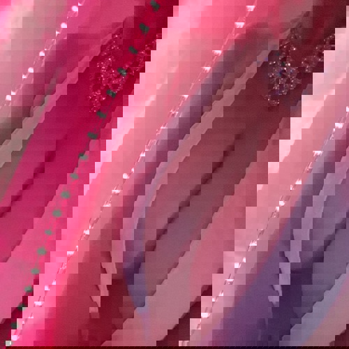 DeutscheMassageFeeTopservice