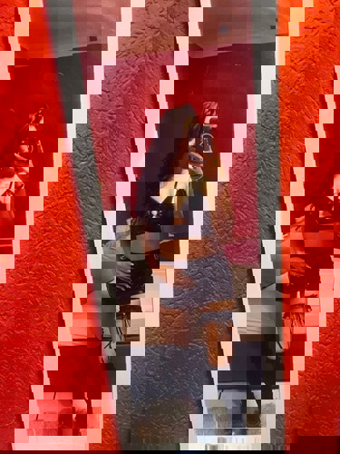 Beatrice155101 - +4915510151181, +4915510-151181, 015510-151181