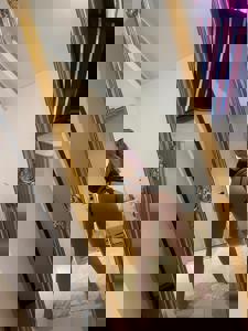 Profilový obrázek