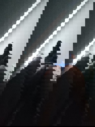 Karol36 - +4936300854492, +4936300-854492, 036300-854492