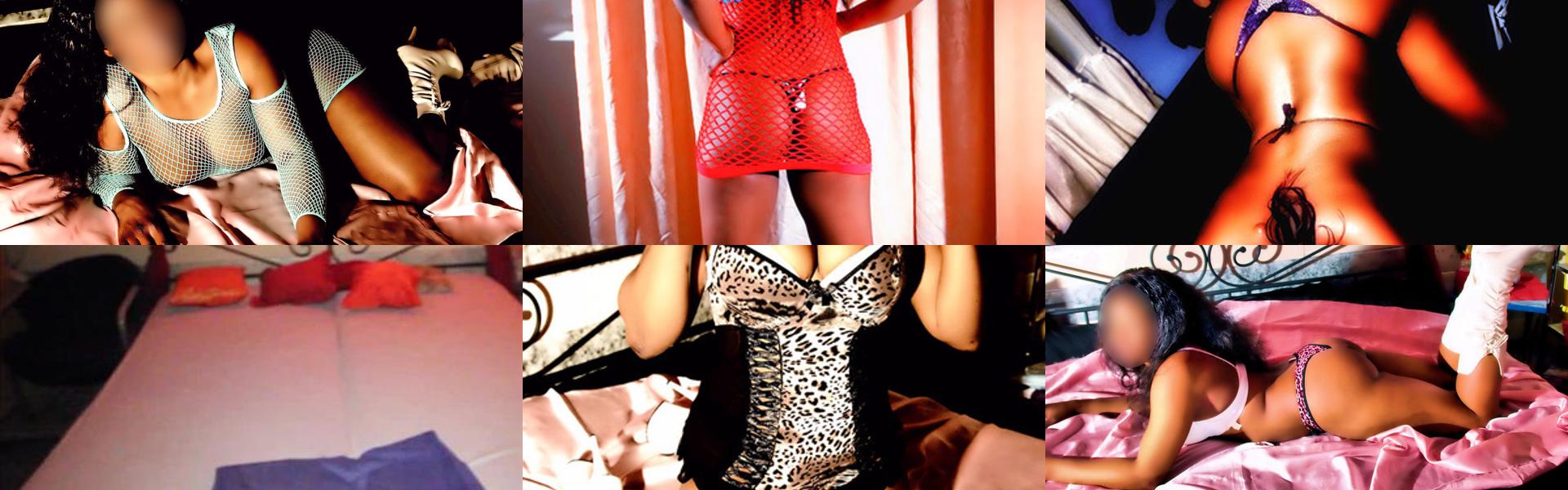 Zaglavna slika profila